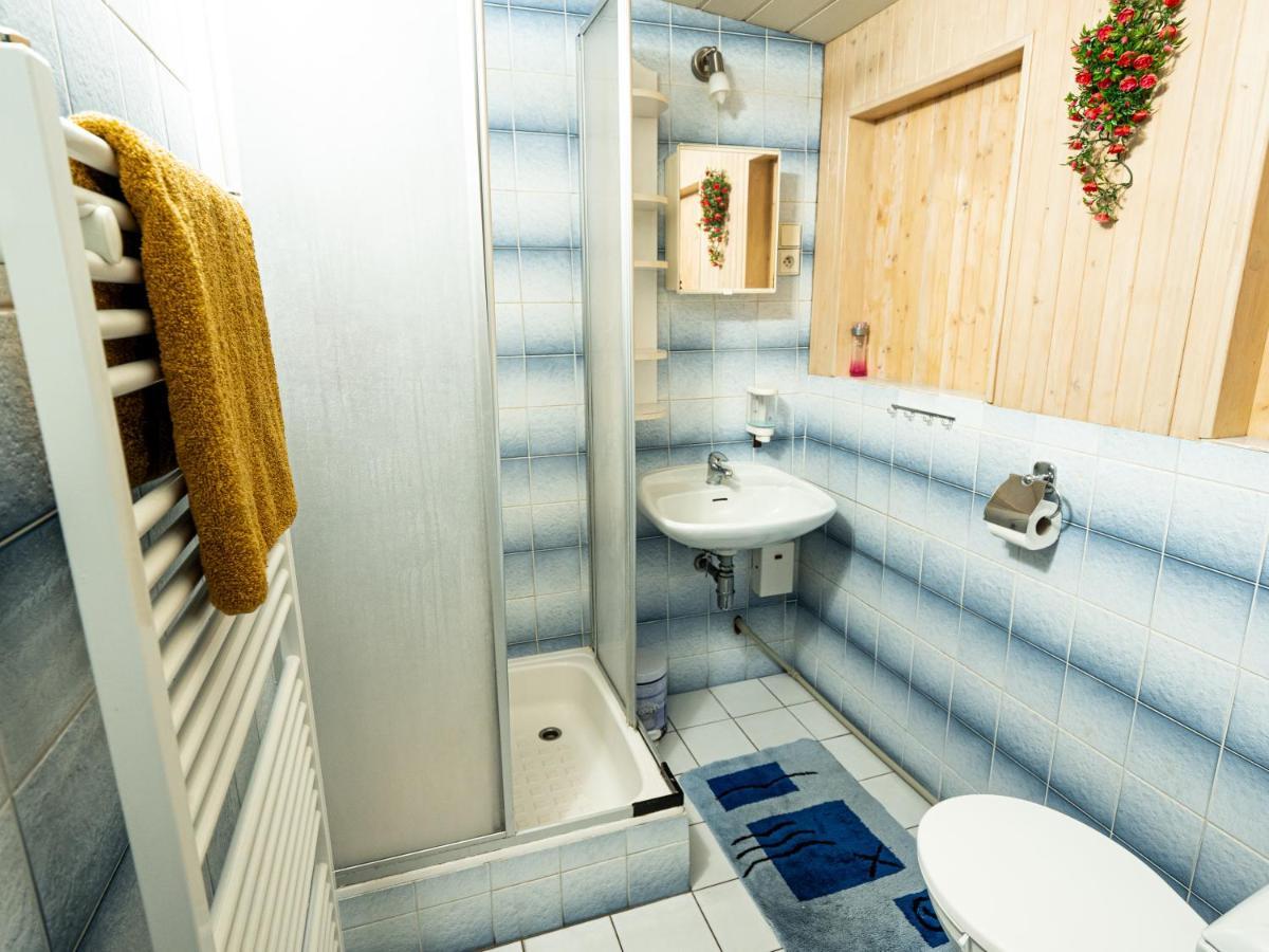 Apartman Karel A Martina โรกีนีซ นัด ยีเซอโร ภายนอก รูปภาพ