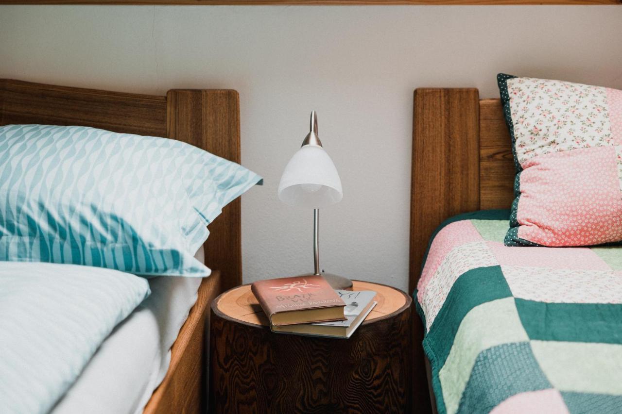 Apartman Karel A Martina โรกีนีซ นัด ยีเซอโร ภายนอก รูปภาพ